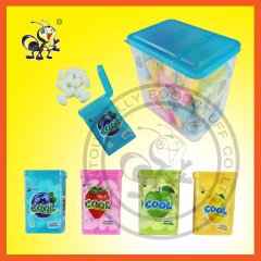 Sugar Free Fruity Flavor Mint Pressed Candy